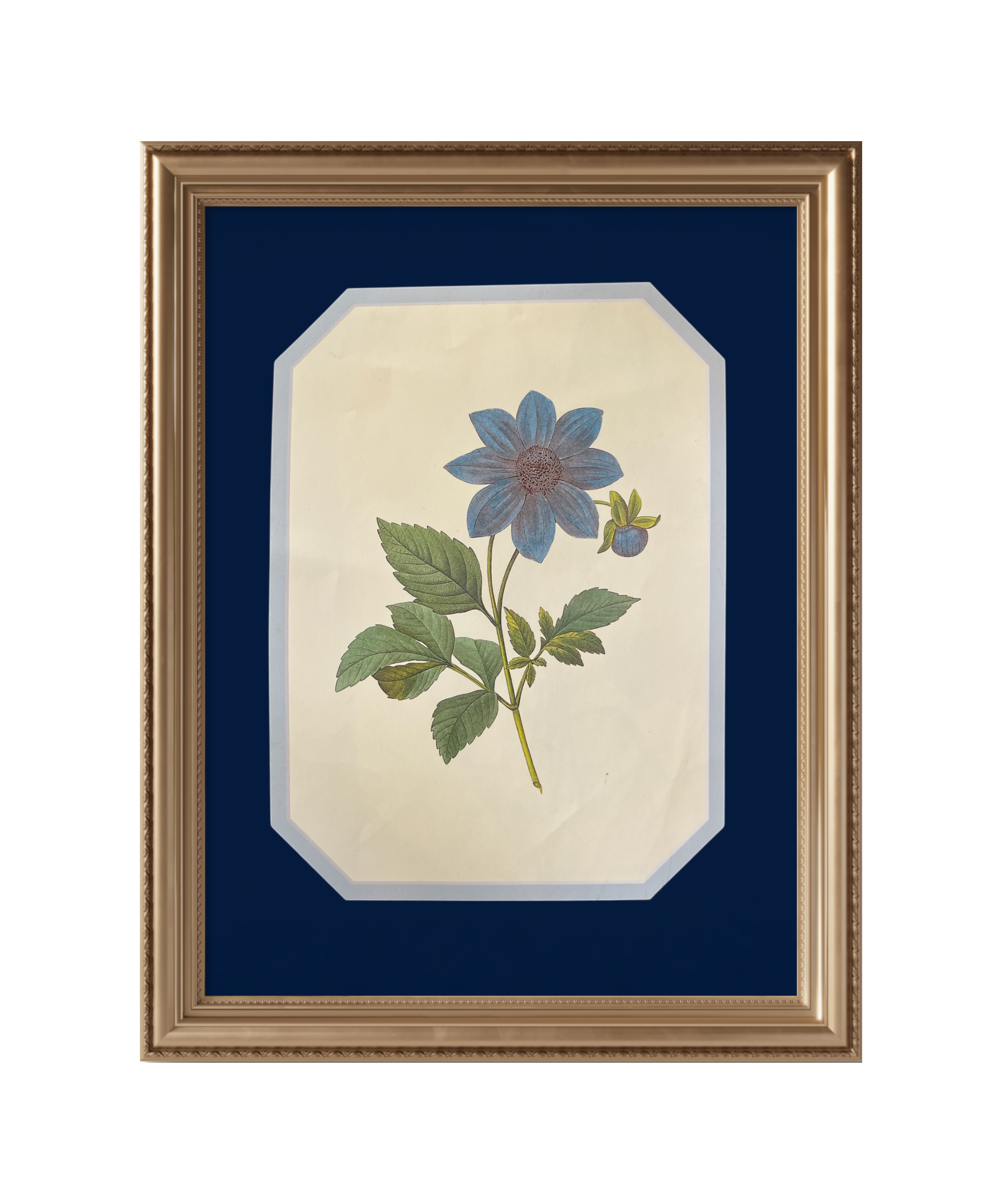 Blue Wildflower — Midnight Blue Mat (Trademark Edition)