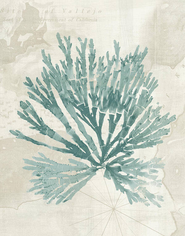 Pacific Sea Mosses II by Wild Apple Portfolio