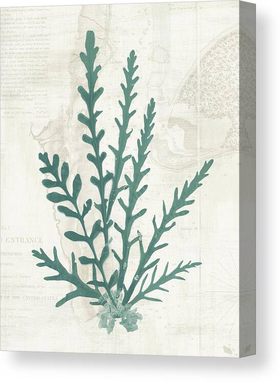 Pacific Sea Mosses III by Wild Apple Portfolio