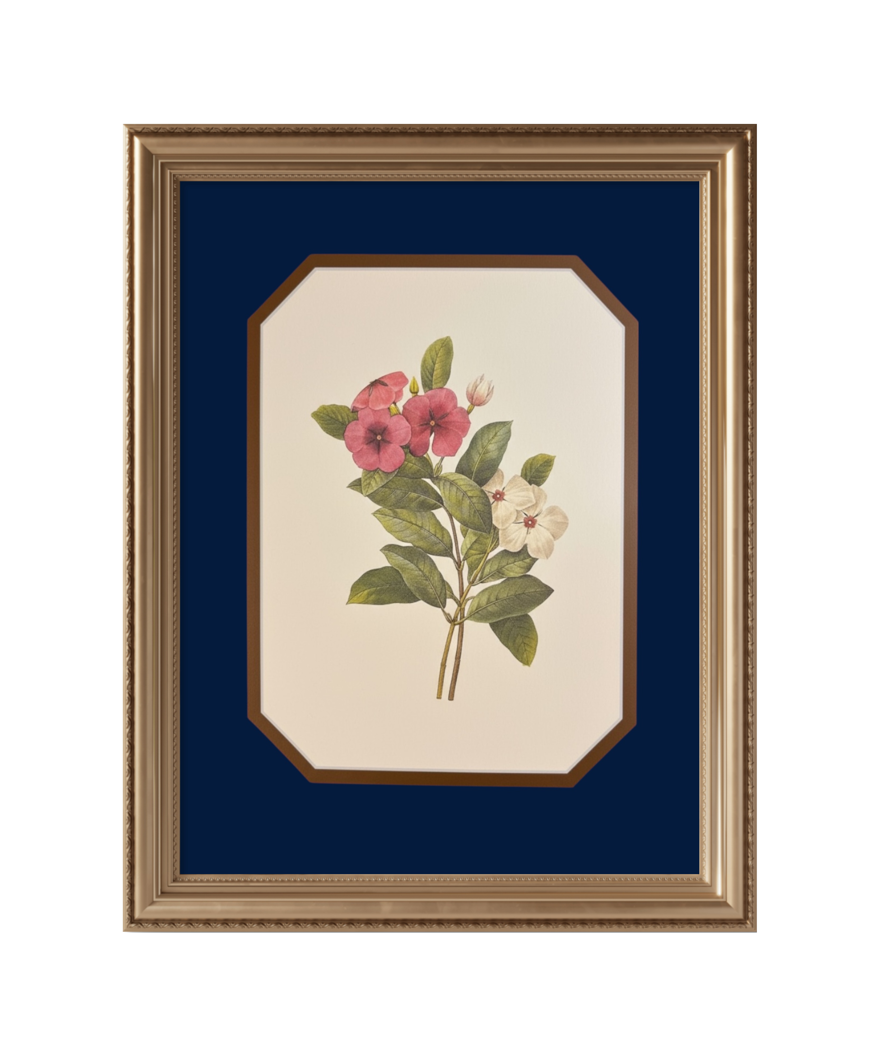 Botanical Bloom — Midnight Blue Mat