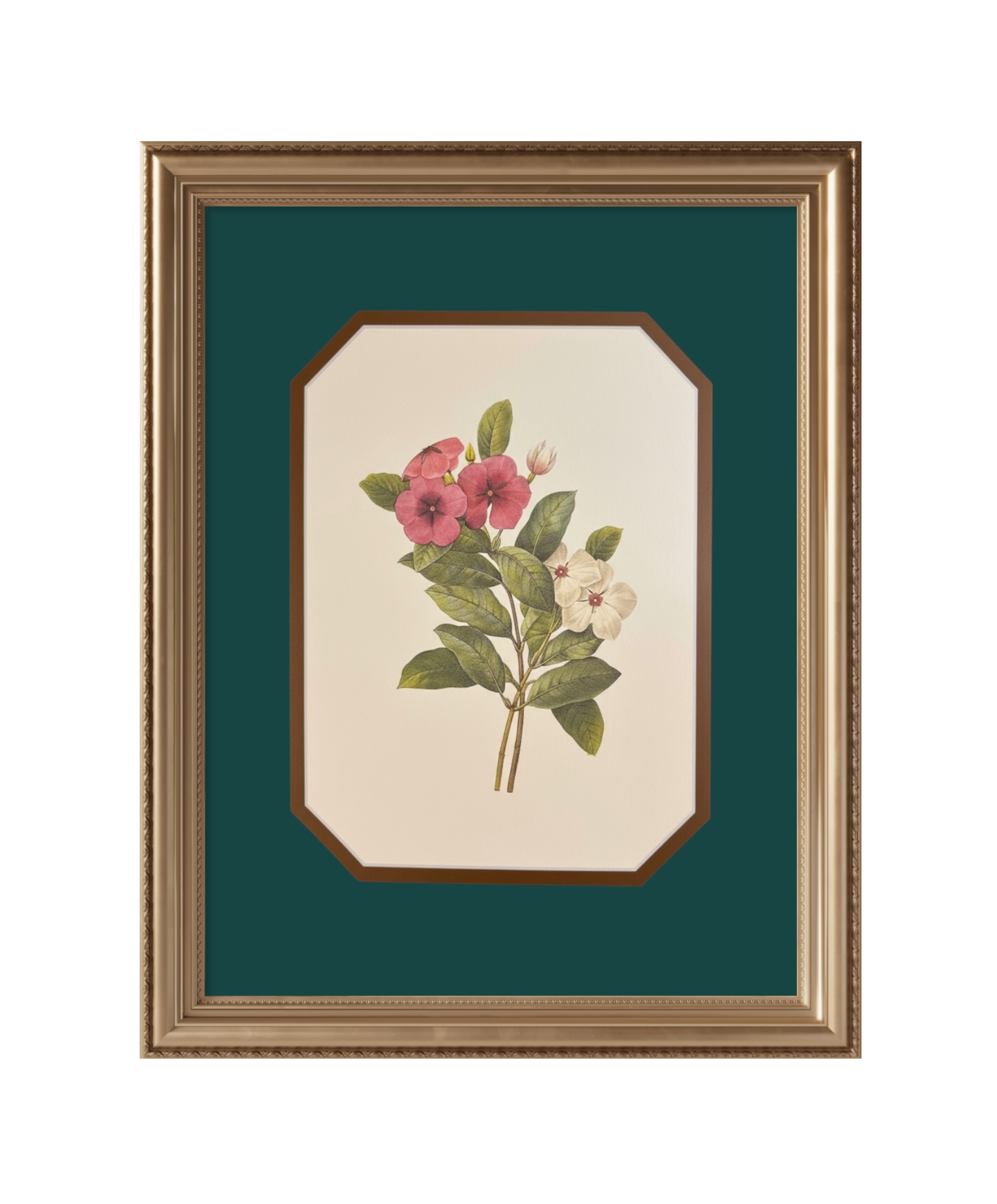 Botanical Bloom — Emerald Mat (Trademark Edition)