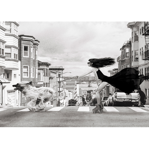 Skating in San Francisco