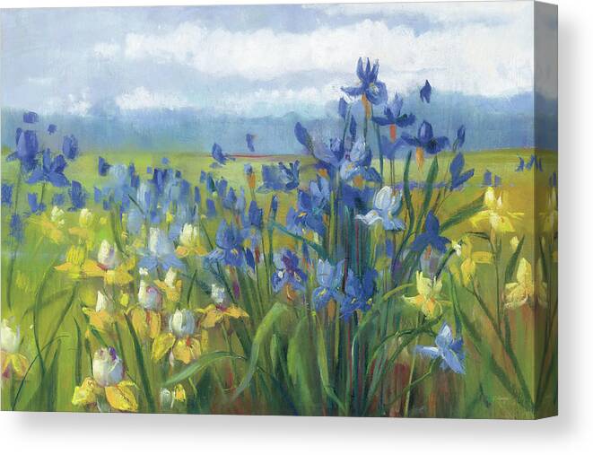 Field of Irises and Daffodils - by Carol Rowan