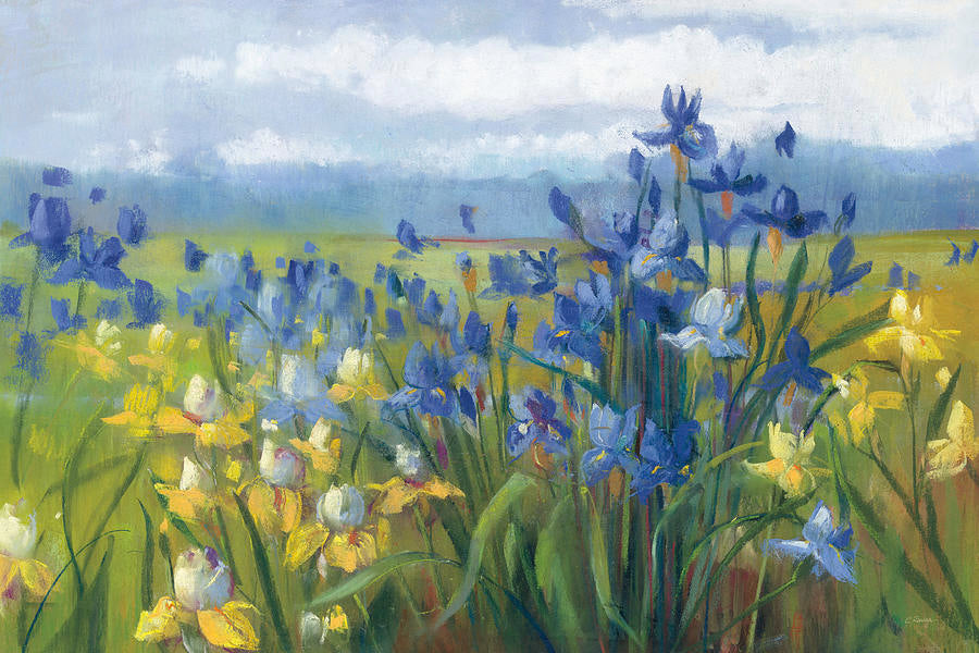 Field of Irises and Daffodils - by Carol Rowan