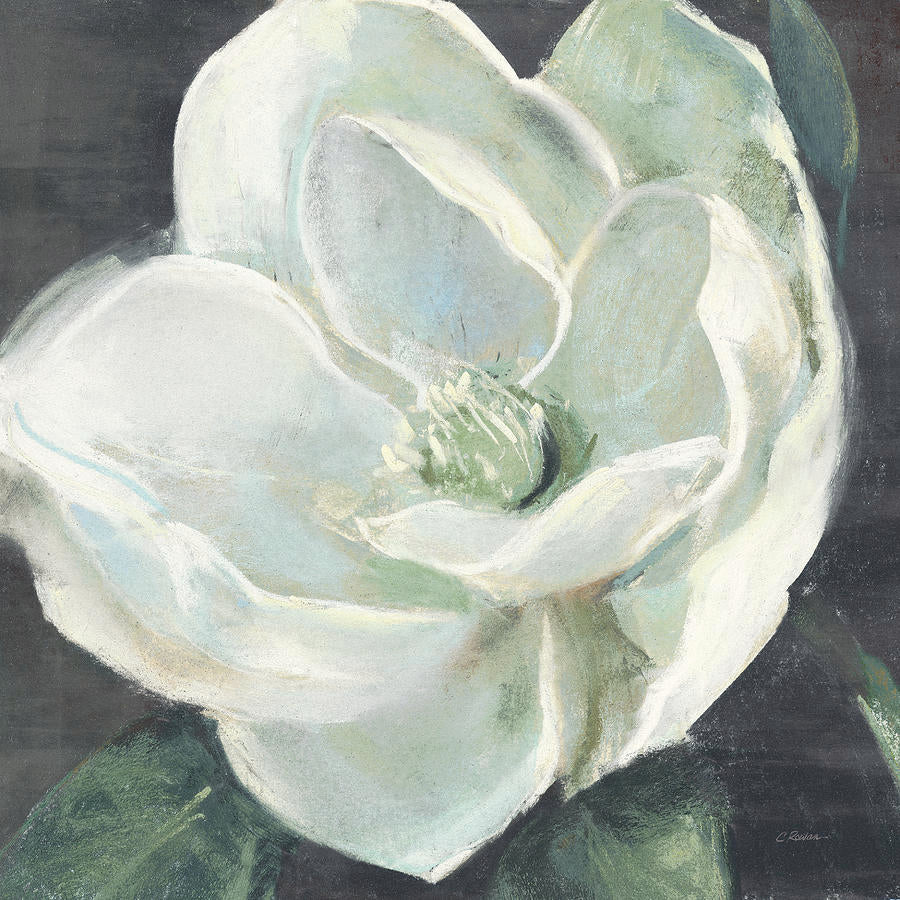 Magnolia III Sage – Carol Rowan