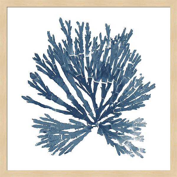 Pacific Sea Mosses Blue on White II – by Wild Apple Portfolio