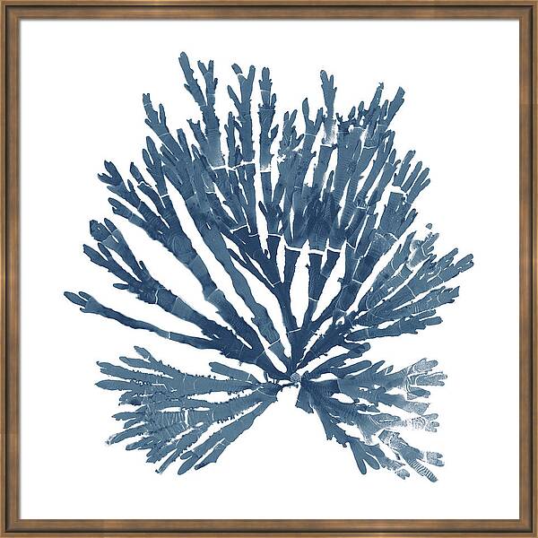 Pacific Sea Mosses Blue on White II – by Wild Apple Portfolio