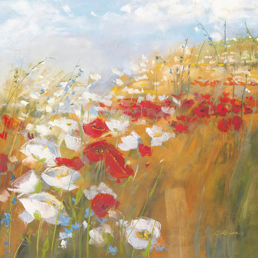 Poppies and Larkspur II – Carol Rowan