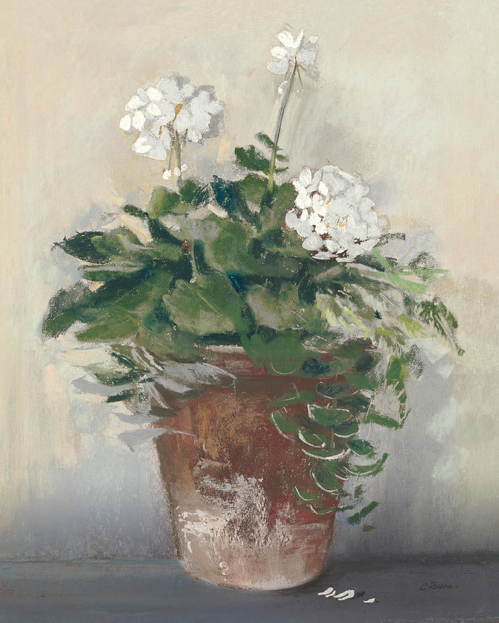 Pot of White Geraniums – by Carol Rowan
